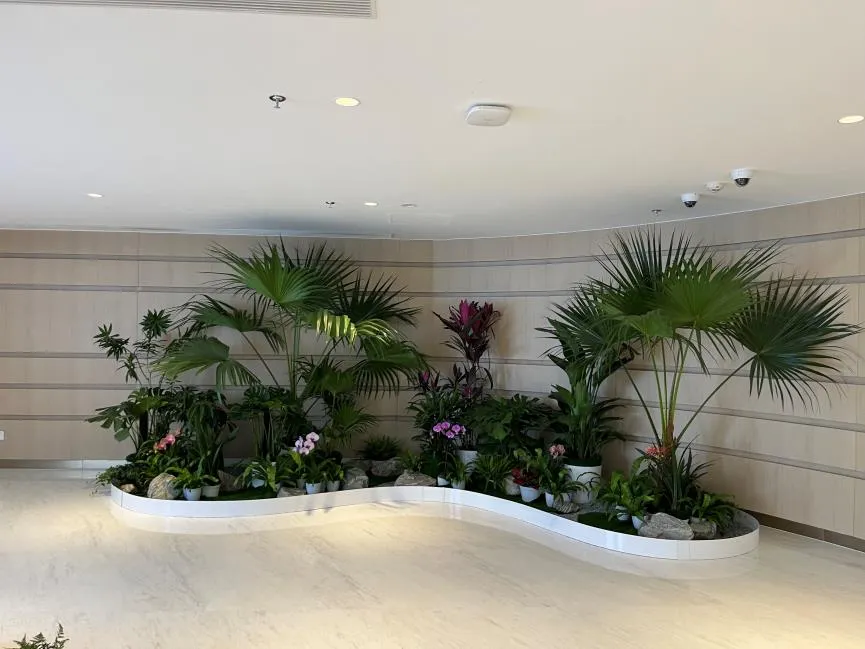 鄞州花卉租赁价格 鄞州花卉租赁价格